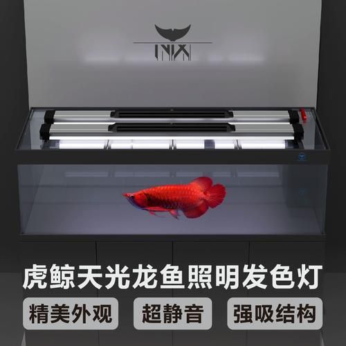 龍魚燈2700和6700哪個更耐用，魚魚燈2700和6700哪個更耐用？