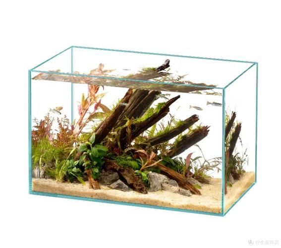 給我推薦幾款性價比高的金魚缸，幾款性價比高的金魚缸推薦
