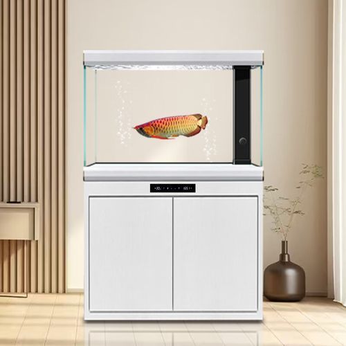 給我推薦幾款性價比高的金魚缸，幾款性價比高的金魚缸推薦