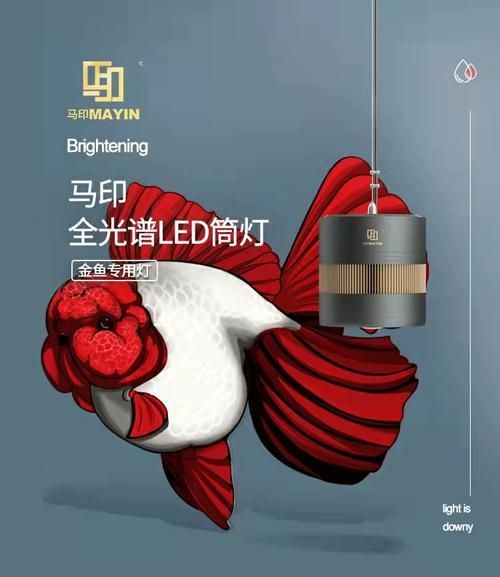 2700K燈對紅龍的影響，2700k燈光對紅龍的影響