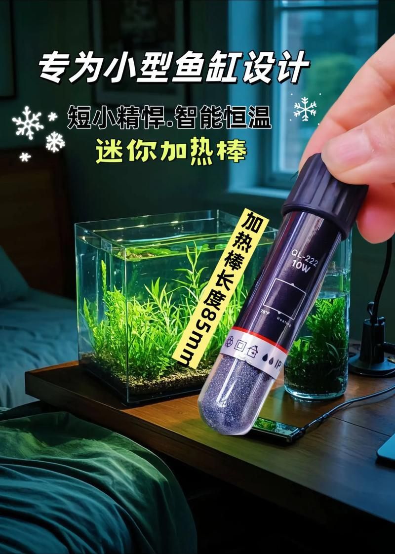 如何穩定白條過背金龍魚的水溫，白條過背金龍魚水溫穩定全攻略