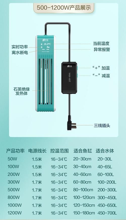 如何穩定白條過背金龍魚的水溫，白條過背金龍魚水溫穩定全攻略