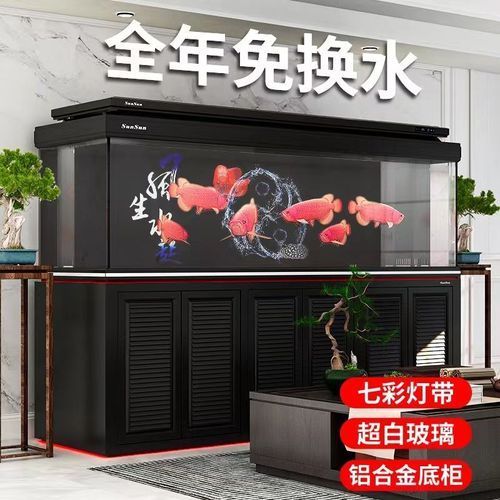 給我推薦幾款森森龍魚缸的熱門型號，森森、森森、森森、森森、森森、森森、森森