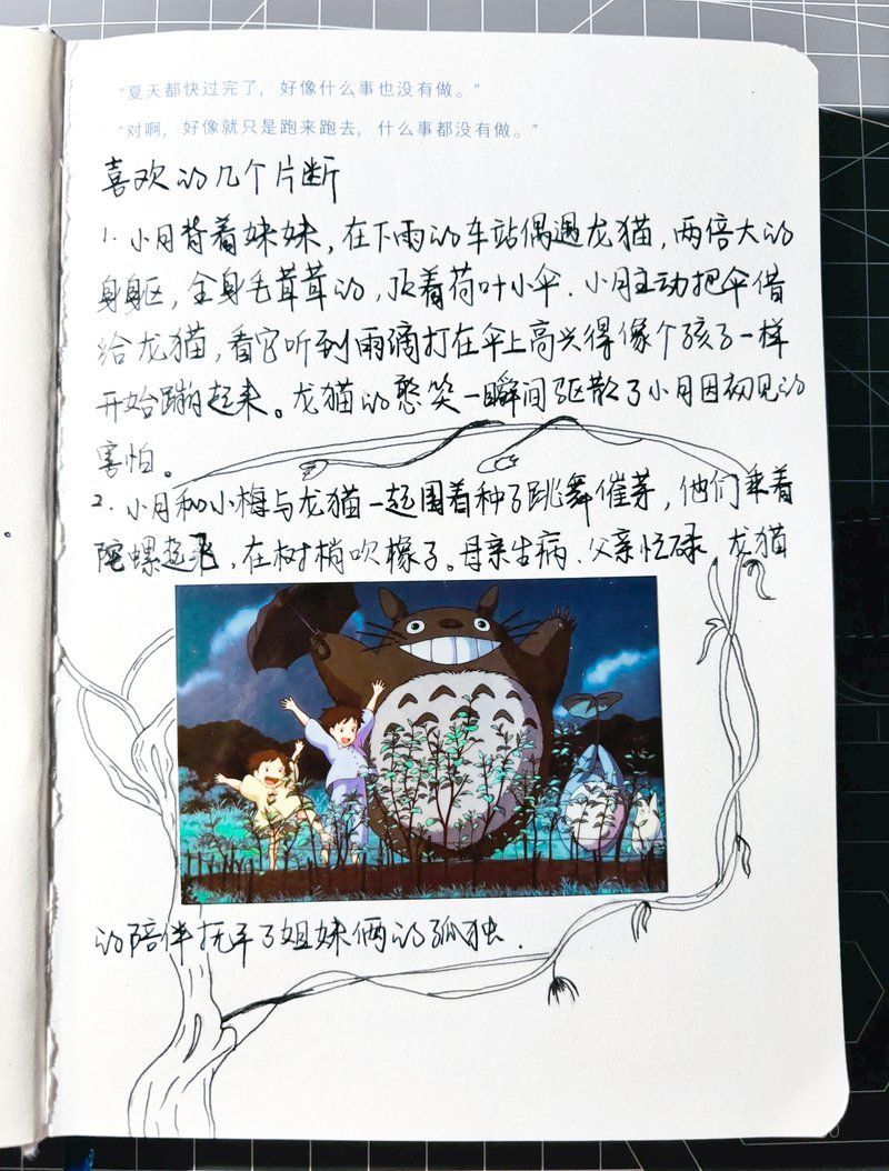 給我一些關于龍貓的趣事，關于龍貓的趣事 給我一些關于龍貓的趣事，關于龍貓的趣事 龍魚百科 第1張