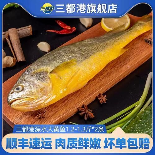 三都龍魚的市場價格走勢,三都港‘黃金龍’有機大黃魚市場價格走勢詳解 龍魚百科 第2張 三都龍魚的市場價格走勢,三都港‘黃金龍’有機大黃魚市場價格走勢詳解 三都龍魚的市場價格走勢,三都港‘黃金龍’有機大黃魚市場價格走勢詳解 龍魚百科 第2張