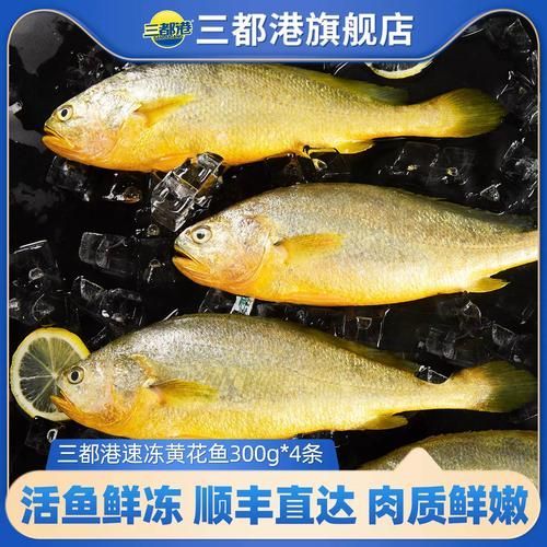 三都龍魚的市場價格走勢,三都港‘黃金龍’有機大黃魚市場價格走勢詳解 龍魚百科 第1張 三都龍魚的市場價格走勢,三都港‘黃金龍’有機大黃魚市場價格走勢詳解 三都龍魚的市場價格走勢,三都港‘黃金龍’有機大黃魚市場價格走勢詳解 龍魚百科 第1張