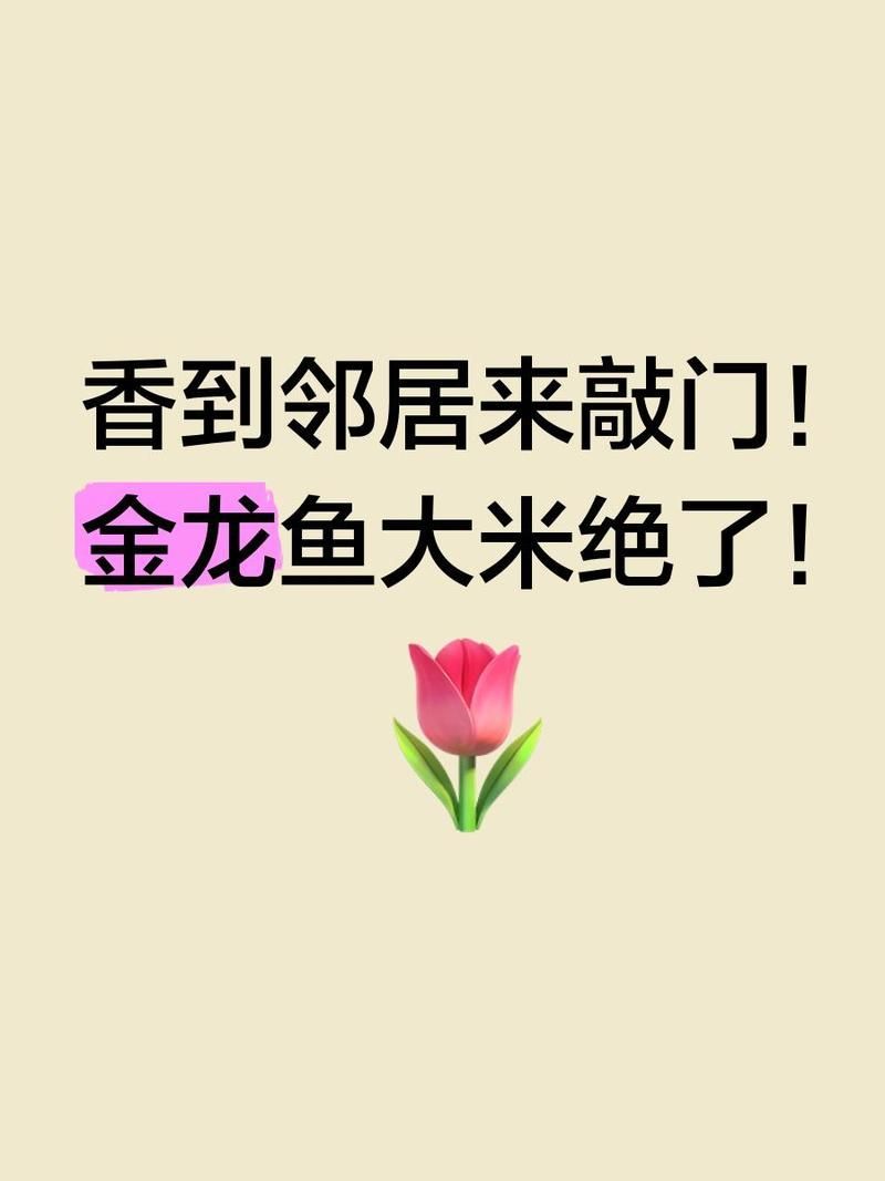 金龍魚方正長粒香米有哪些口感特點，金龍魚方正長粒香米有哪些優勢？