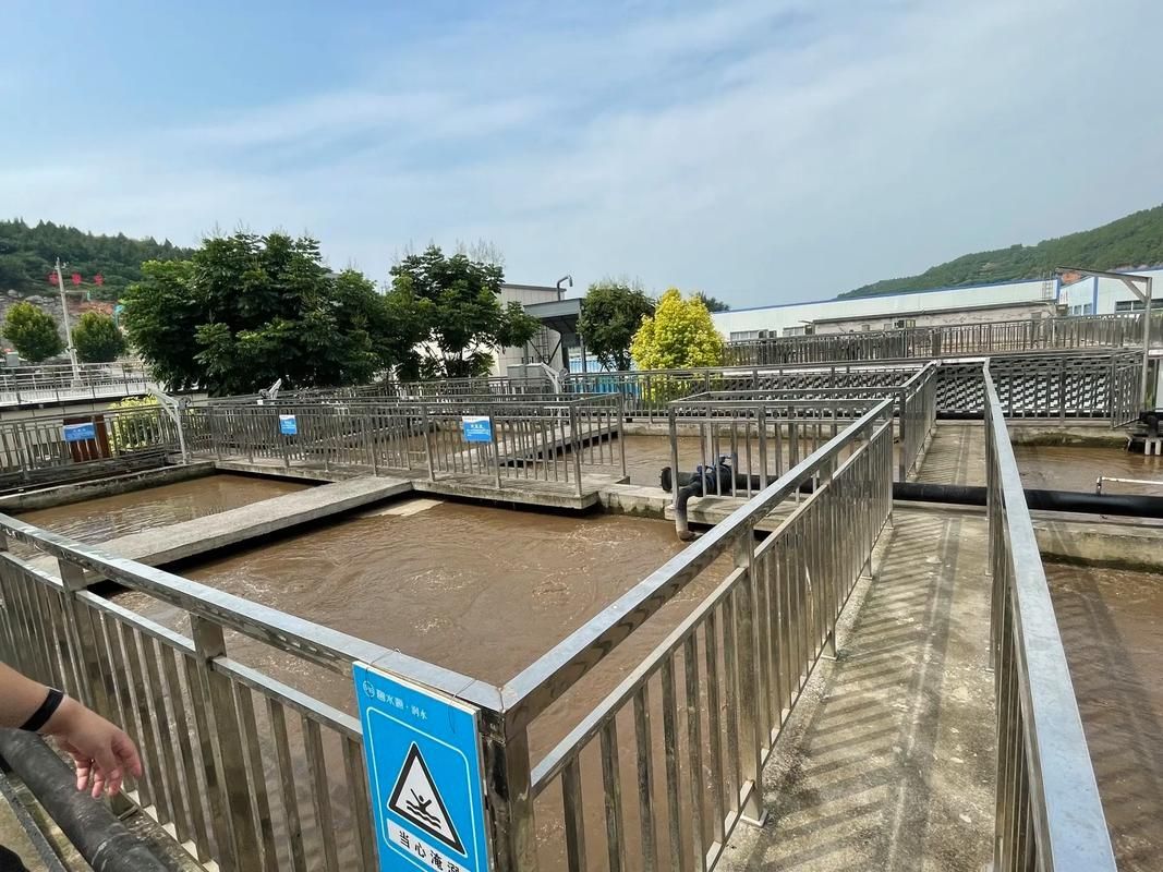 惠城龍魚養殖業的技術瓶頸有哪些，城龍魚養殖業面臨的技術瓶頸主要包括以下幾個方面關鍵詞
