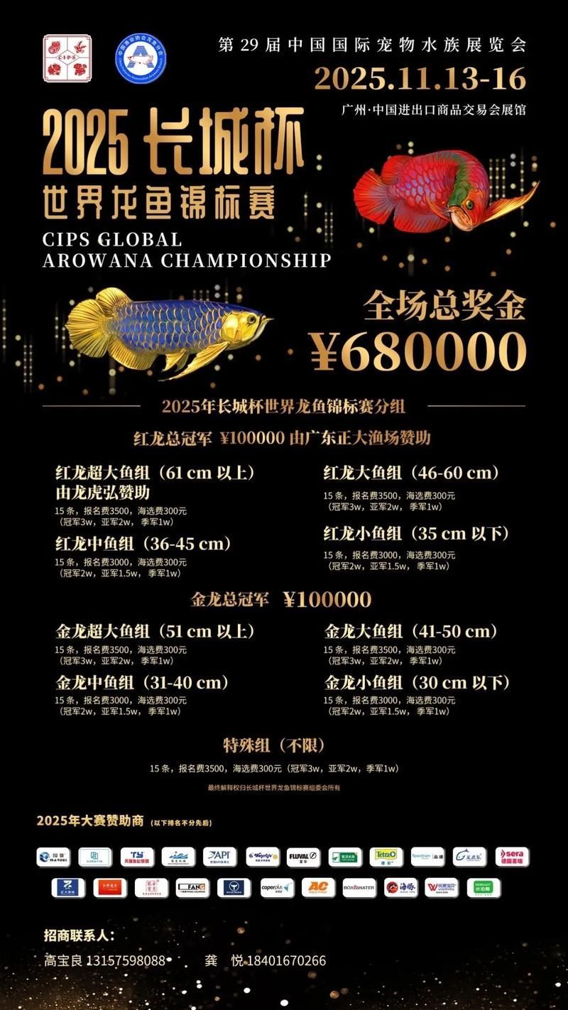2025年長城杯世界龍魚錦標賽何時舉行，2025年長城杯世界龍魚錦標賽11月13日在廣州舉行