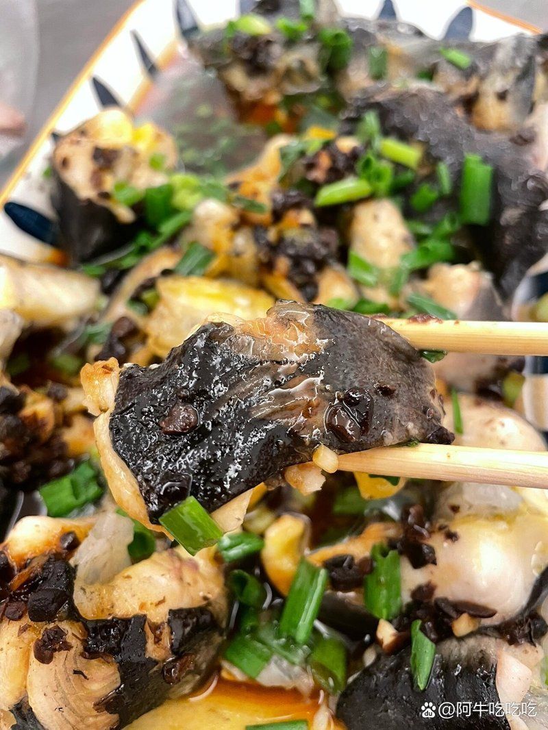 龍魚清蒸需要哪些調料，清蒸龍魚需要準備以下調料，不腥不柴鮮香滑嫩超子美食