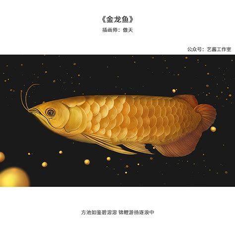 金龍魚作為觀賞魚的價格是多少？，關于金龍魚價格的詳解及配圖展示 金龍魚作為觀賞魚的價格是多少？，關于金龍魚價格的詳解及配圖展示 龍魚百科 第1張