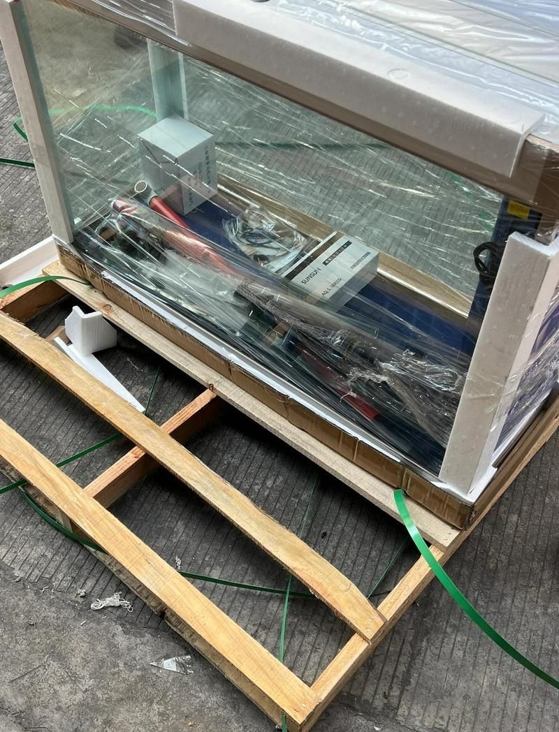 龍魚缸開好后需要多久才能養魚，零失敗開缸養魚全攻略酷拽不解釋龍魚缸開缸養水每日操作清單