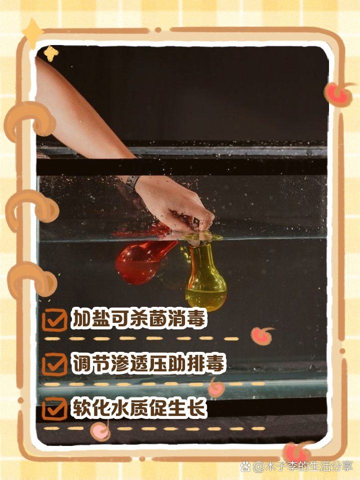 魚缸升溫治療期間需要下鹽嗎，魚缸升溫治療期間是否需要下鹽？
