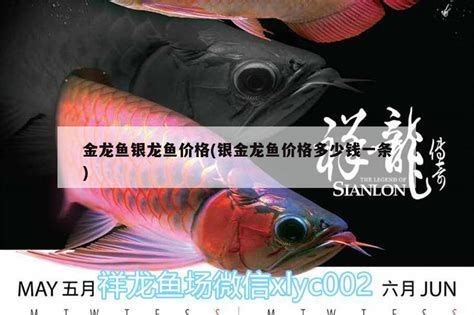 有哪些藥物可以幫助龍魚恢復體色？，如何幫助龍魚恢復體色