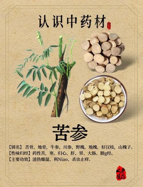 哪些中藥對魚寄生蟲有效，中藥防治魚類寄生蟲