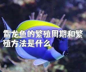 如何預防龍魚出現抽搐？，如何預防龍魚抽搐