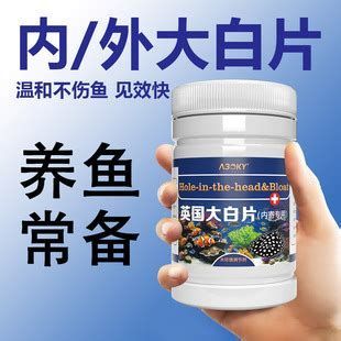 大白片治療龍魚腸炎需要使用多久？，關于大白片治療龍魚腸炎的詳細解析與使用建議 大白片治療龍魚腸炎需要使用多久？，關于大白片治療龍魚腸炎的詳細解析與使用建議 龍魚百科 第1張