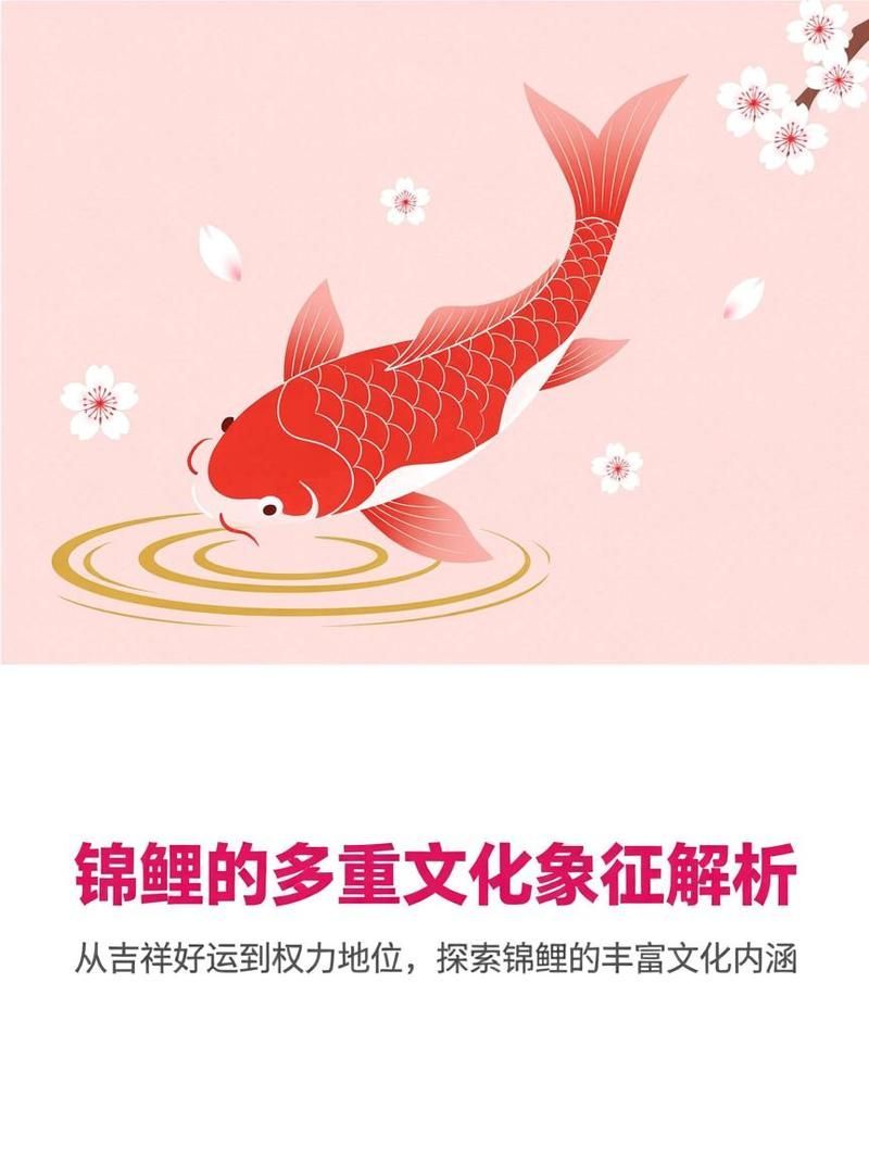 錦鯉和龍魚哪個更有價值？，錦鯉與龍魚哪個更有收藏價值？