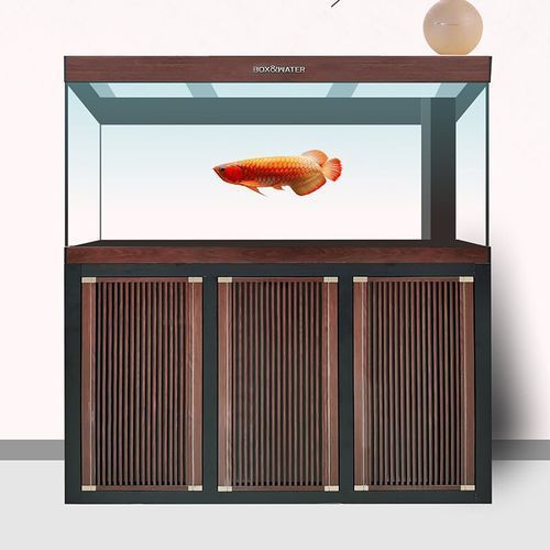 博特水族龍魚缸的價格范圍是多少，博特水族龍魚缸價格對比表，博特水族龍魚缸價格對比