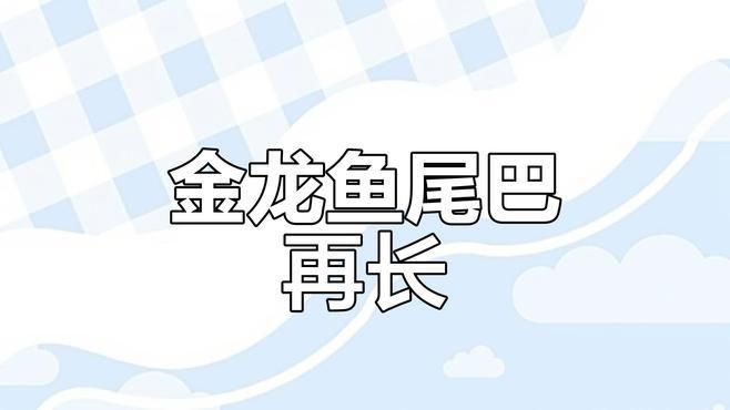 龍魚掉尾后多久開始喂食，龍魚掉尾后多久開始喂食龍魚掉尾后多久開始喂食 龍魚掉尾后多久開始喂食，龍魚掉尾后多久開始喂食龍魚掉尾后多久開始喂食 龍魚百科 第2張