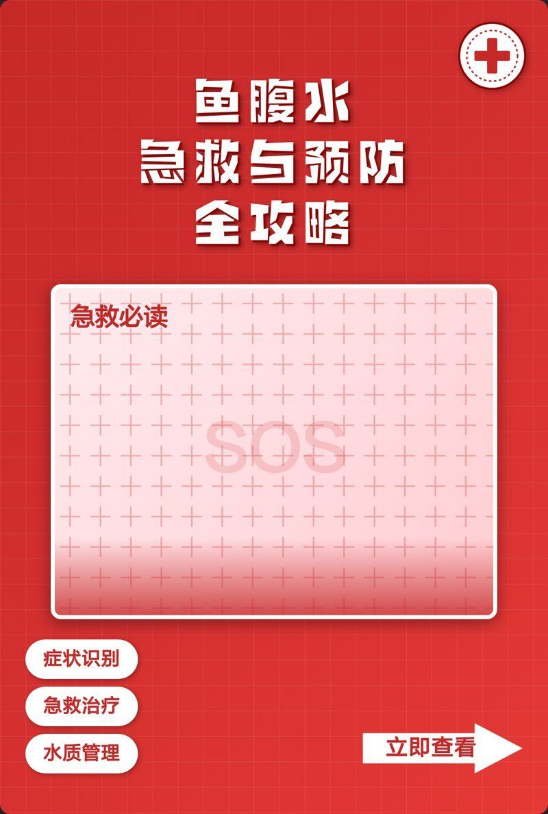 魚腹水怎么快速排出體外，醫學上快速排出魚腹水的方法是什么魚腹水快速排出體外的核心方法
