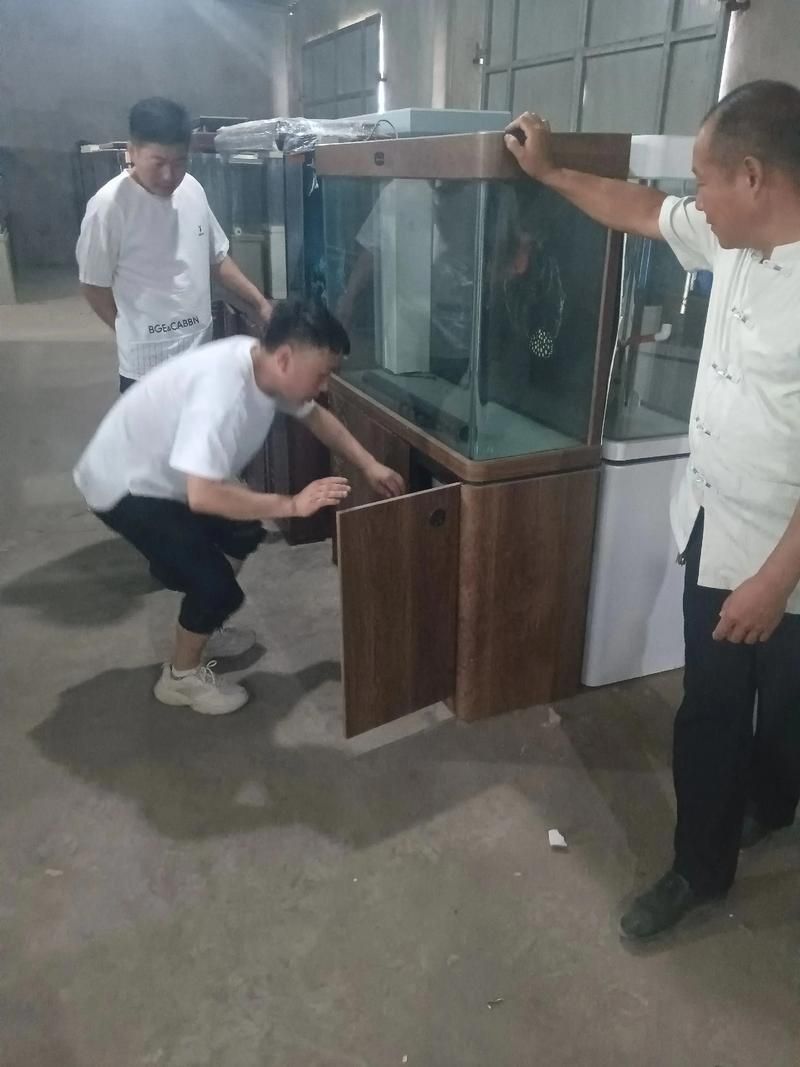 如何保存五河龍魚使其保持新鮮，arxiv論文助手arxiv論文助手arxiv論文助手