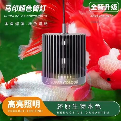 有哪些品牌的魚(yú)缸燈推薦，魚(yú)缸燈品牌推薦：魚(yú)缸燈品牌及其推薦產(chǎn)品及其推薦