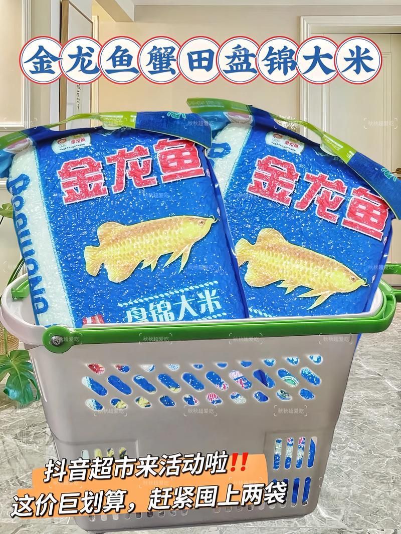 金龍魚的市場價格是多少，金龍魚市場價格差異極大金龍魚市場價格差異大