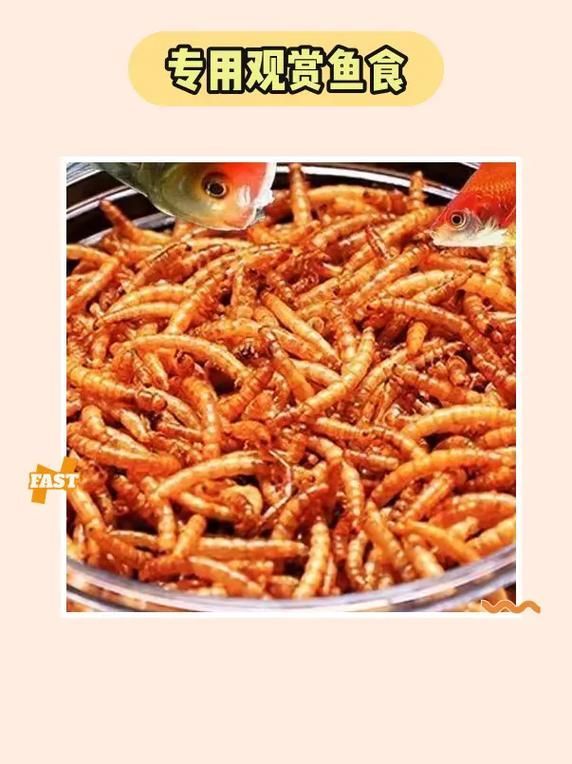銀龍魚的最佳餌料有哪些？，銀龍魚發色期需要哪些特殊餌料適合銀龍魚的餌料 銀龍魚的最佳餌料有哪些？，銀龍魚發色期需要哪些特殊餌料適合銀龍魚的餌料 龍魚百科 第4張
