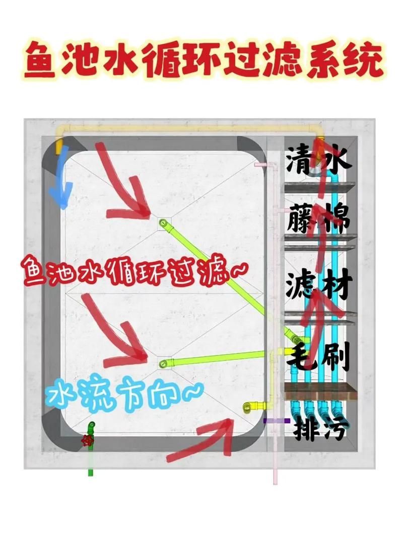 龍魚換水時(shí)如何減少應(yīng)激？，北京龍魚換水技術(shù)