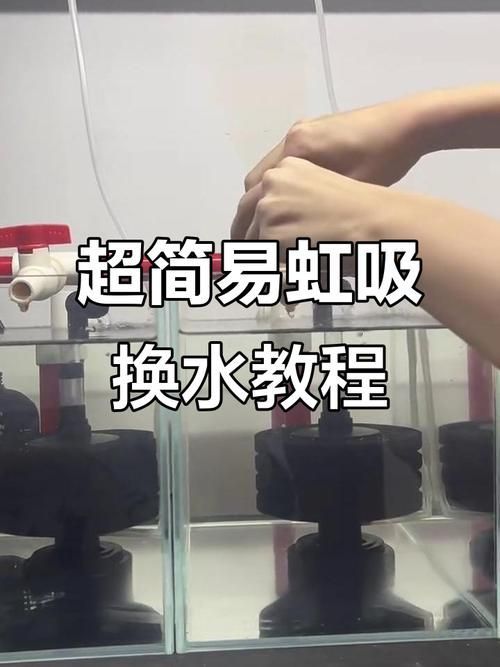 龍魚換水時(shí)如何減少應(yīng)激？，北京龍魚換水技術(shù)