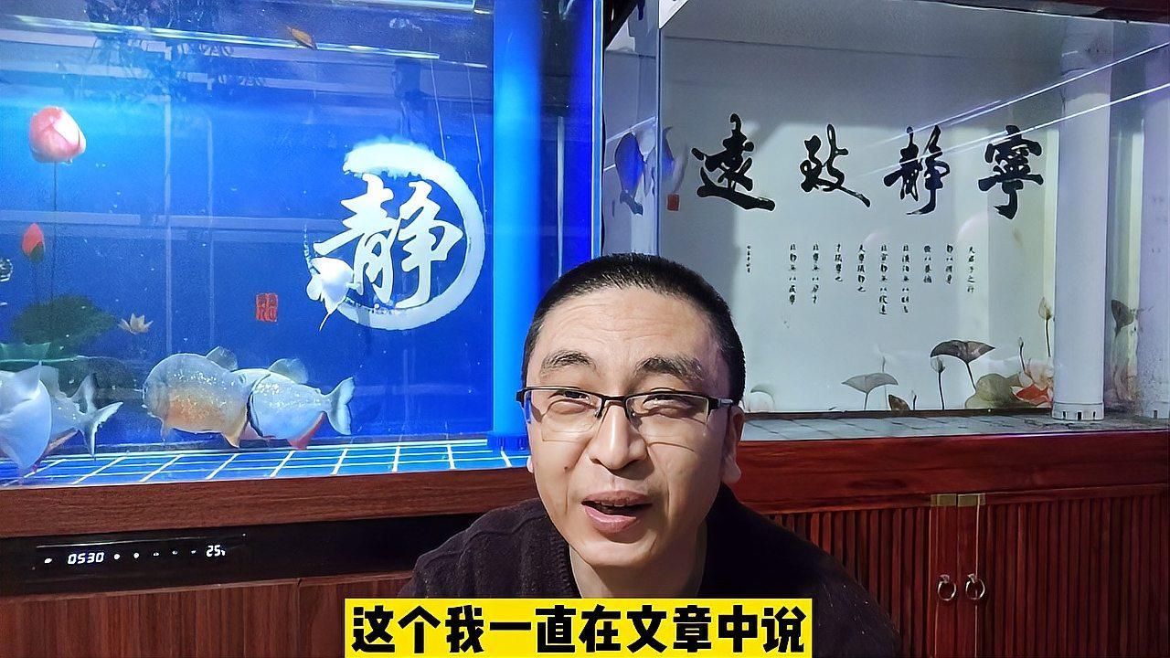 一米二魚缸適合養(yǎng)多少條魚，一米二魚缸適合養(yǎng)什么魚？