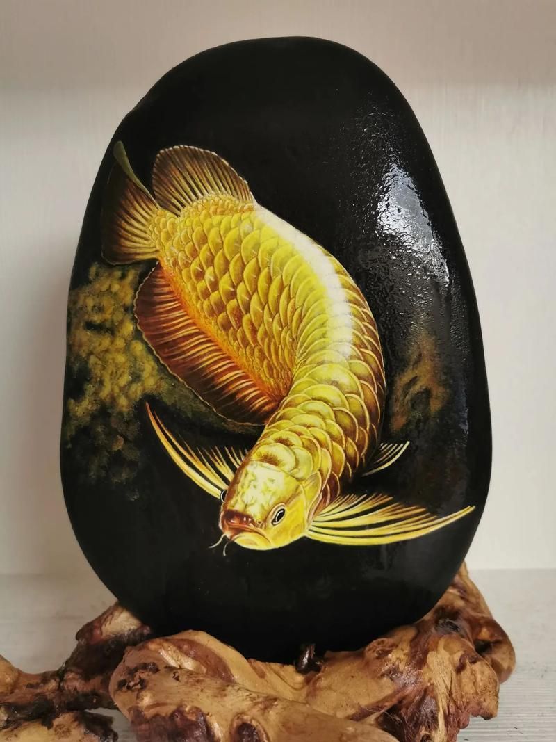 如何判斷龍魚是否恢復良好，如何判斷龍魚是否恢復良好的健康狀態