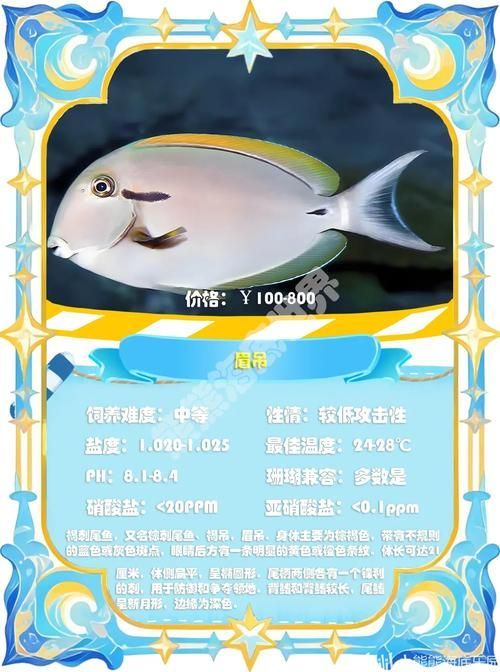 如何辨別福魟魟魚的品質,potamotrygonmotorogonmotorogonmotoro 龍魚百科 第2張 如何辨別福魟魟魚的品質,potamotrygonmotorogonmotorogonmotoro 如何辨別福魟魟魚的品質,potamotrygonmotorogonmotorogonmotoro 龍魚百科 第2張