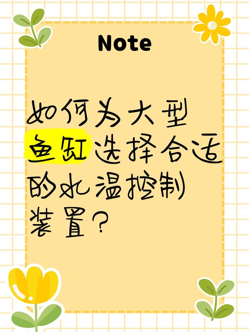 如何維持金禾金龍魚的水溫穩定 如何維持金禾金龍魚的水溫穩定 龍魚百科 第1張
