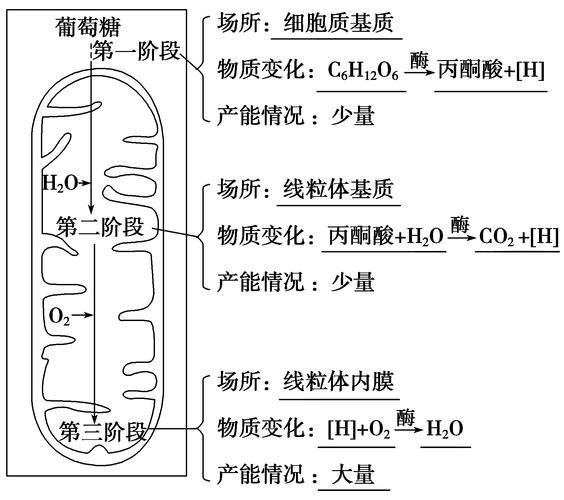 如何判斷魚類是否患失鰾癥，如何判斷魚類失鰾癥
