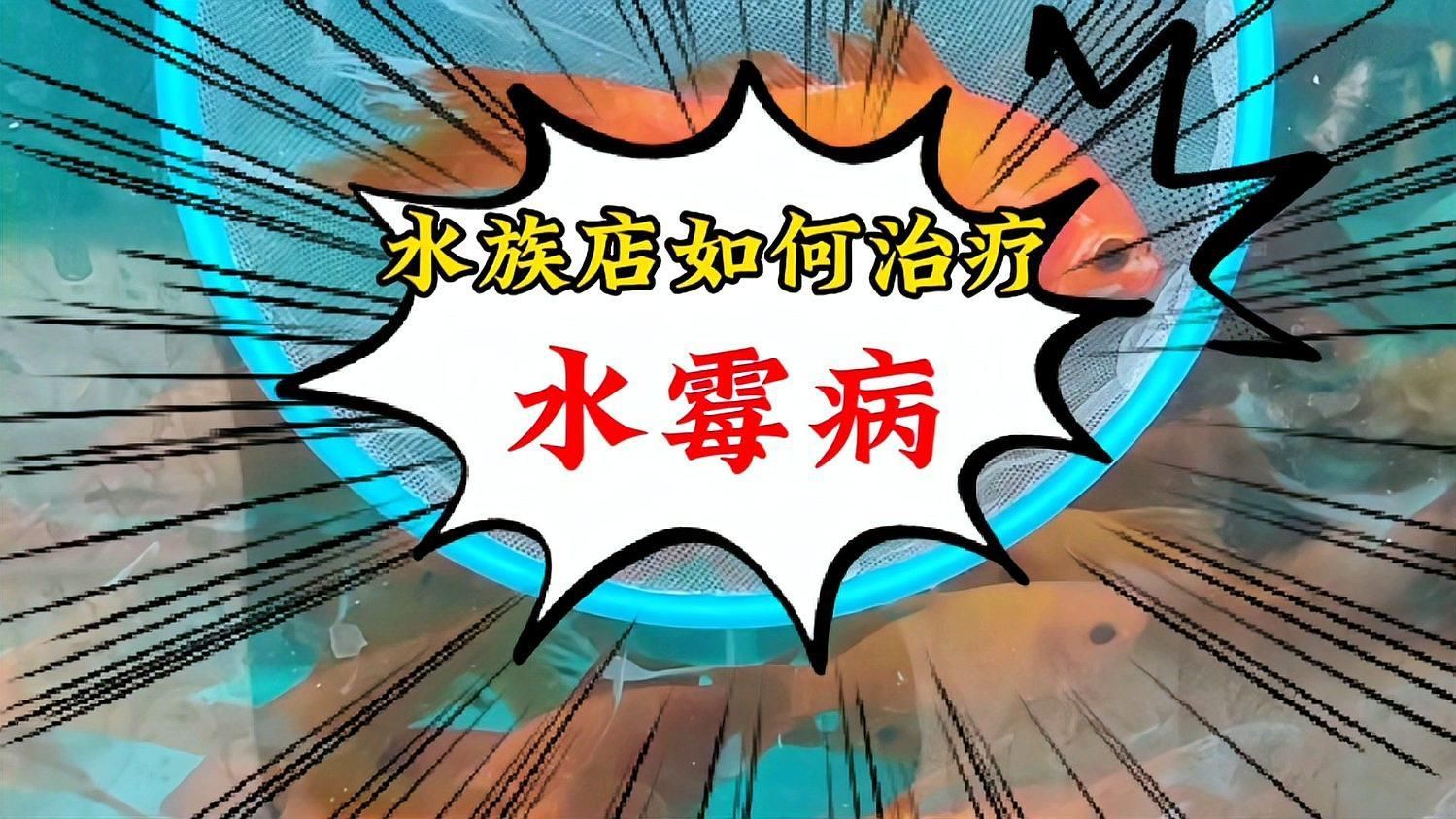 有哪些魚缸常見病無法治愈，幾種常見病如何防治