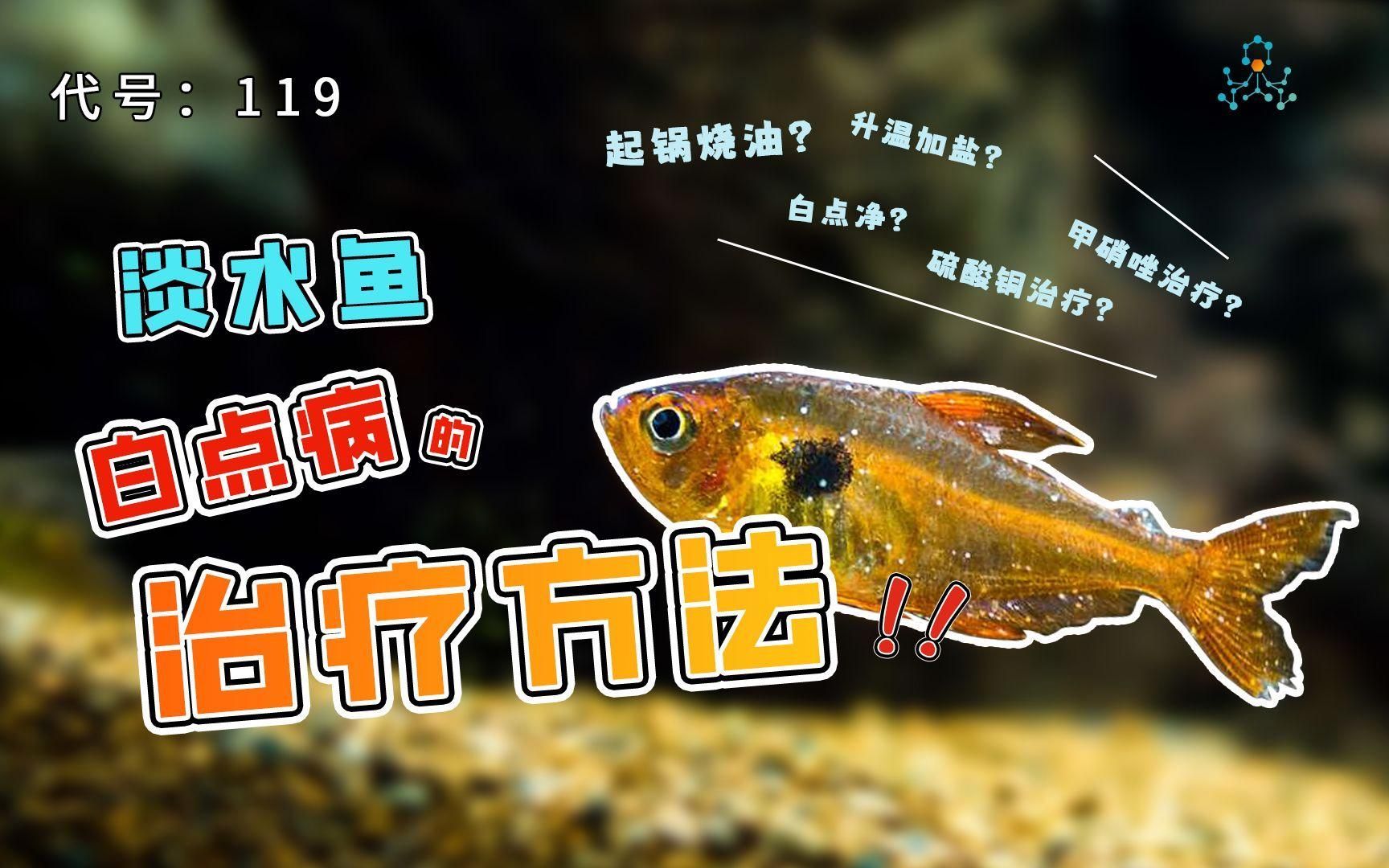 有哪些魚缸常見病無法治愈，幾種常見病如何防治