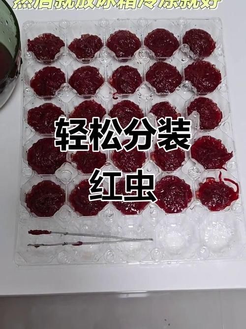 如何科學(xué)投喂面包蟲和紅蟲，科學(xué)投喂面包蟲和紅蟲的科學(xué)投喂面包蟲和紅蟲的科學(xué)投喂方法