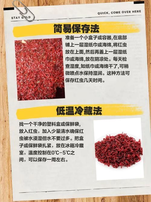 如何科學(xué)投喂面包蟲和紅蟲，科學(xué)投喂面包蟲和紅蟲的科學(xué)投喂面包蟲和紅蟲的科學(xué)投喂方法