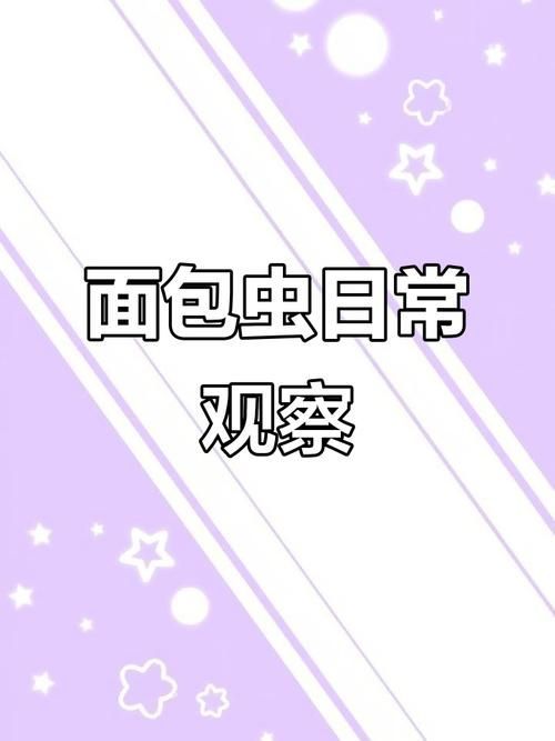 如何科學(xué)投喂面包蟲和紅蟲，科學(xué)投喂面包蟲和紅蟲的科學(xué)投喂面包蟲和紅蟲的科學(xué)投喂方法
