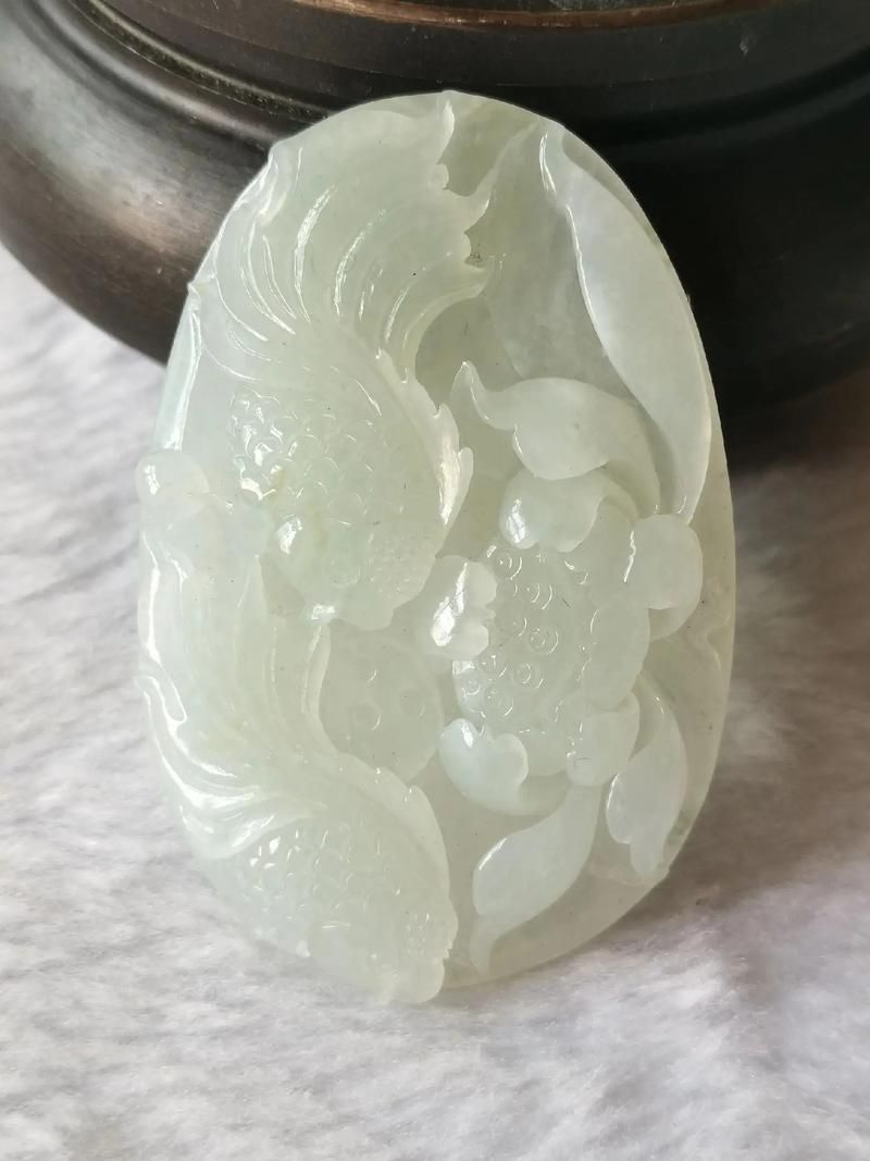 如何鑒別獨山龍魚的品相和血統，如何鑒別一份獨山龍魚的品相和血統？