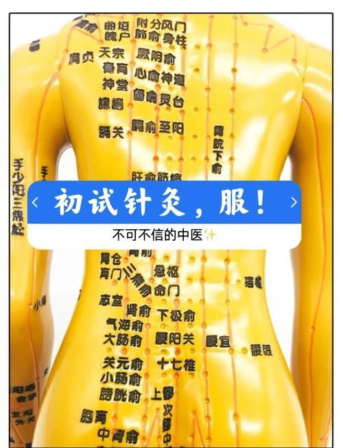 有哪些輔助治療方法可以配合使用藥物，醫學輔助治療方法