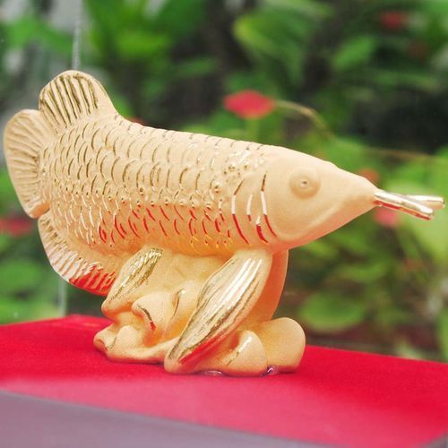 請提供幾張金龍魚高端產品的圖片，金龍魚高端產品
