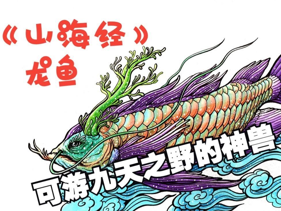 《山海經》中還有哪些神獸與龍魚相關，《山海經》中的龍魚