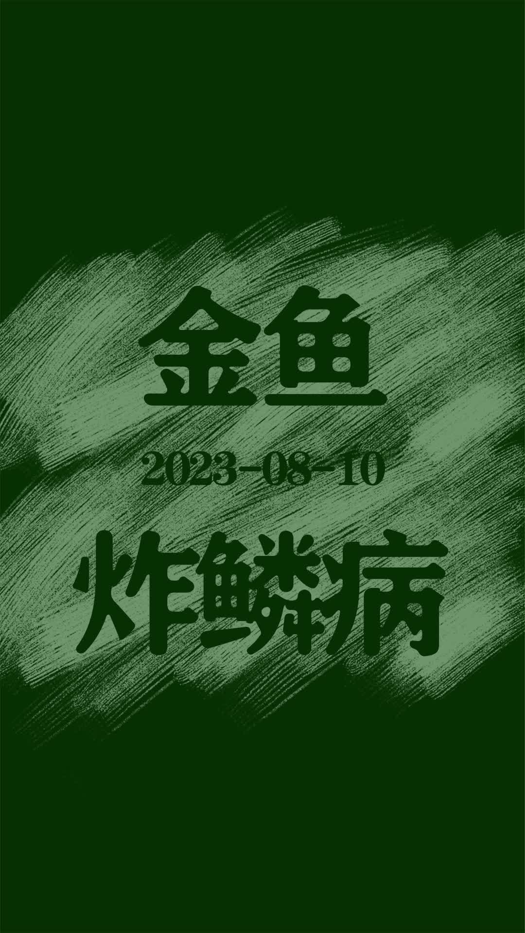 金魚炸鱗病能徹底治愈嗎，蘭壽金魚炸鱗病家庭治療清單金魚炸鱗病家庭治療清單