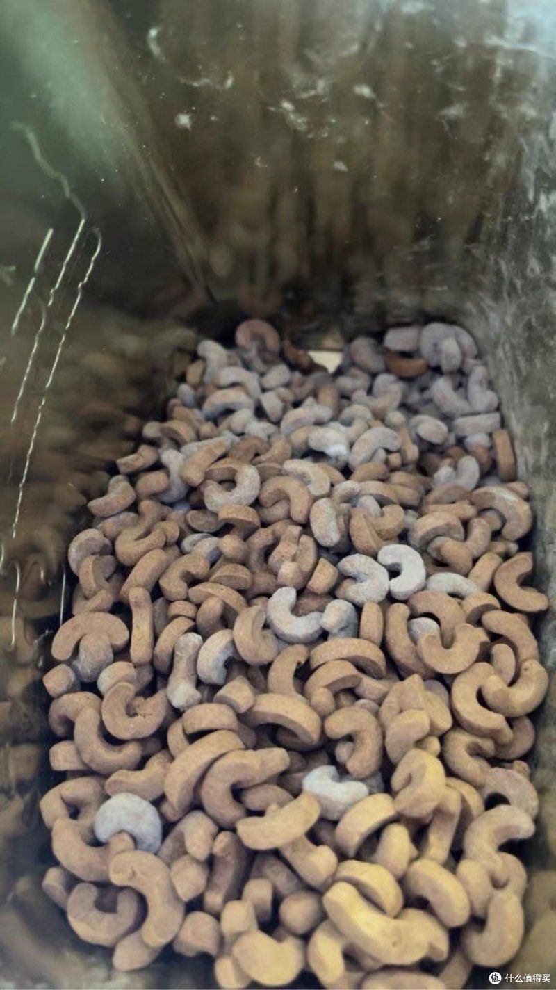 如何訓餌龍魚接受專用飼料，如何訓練野生龍魚接受專用飼料