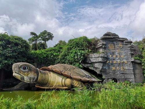 麻章龍魚有哪些獨特品種？，廣東湛江麻章區湖光巖風景區“麻章龍魚”品種鑒賞指南 麻章龍魚有哪些獨特品種？，廣東湛江麻章區湖光巖風景區“麻章龍魚”品種鑒賞指南 龍魚百科 第1張