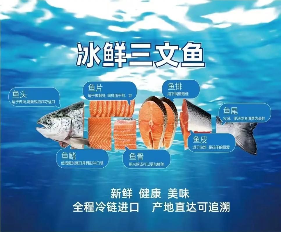 三都龍魚和三通魚的市場需求如何？，“三都龍魚”和“三都龍魚”市場規劃步驟詳解“三都龍魚”