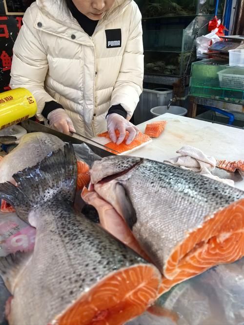 三都龍魚和三通魚的市場需求如何？，“三都龍魚”和“三都龍魚”市場規劃步驟詳解“三都龍魚”